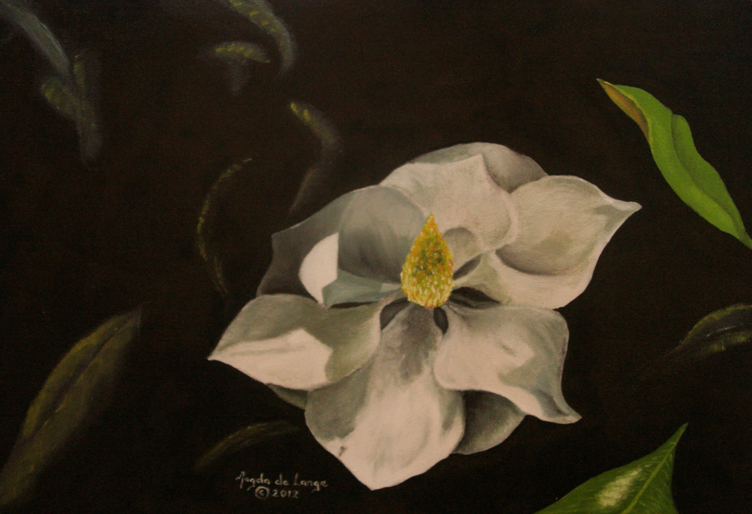 Magnolia Oil Painting