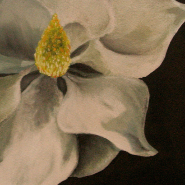 Magnolia Detail