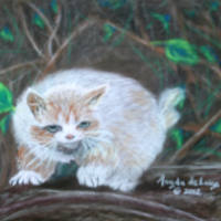 Scaredy Cat<br/>Pastel Painting on Paper