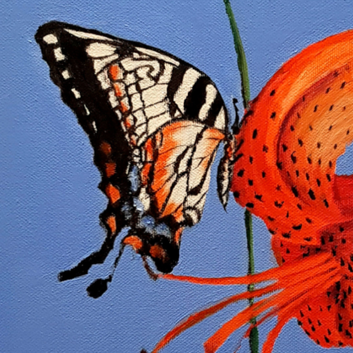 Tiger Lily Butterfly Detail