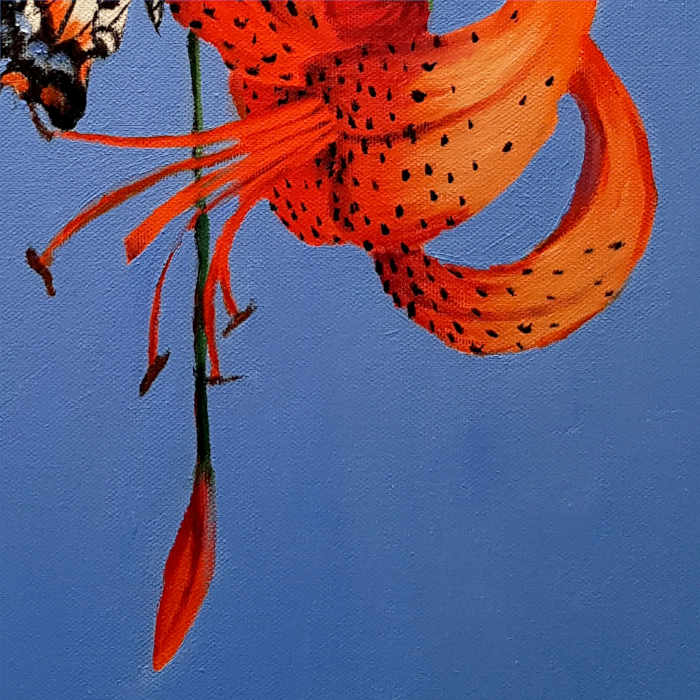 Tiger Lily Flower Detail